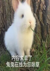 《掉入王者峡谷之后》1970最新章节 掉入王者峡谷之后免费阅读