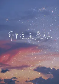 命中注定是你小说完结版免费阅读(作者:飞鸟)