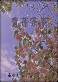 青莲茶寮(短篇集)1970全章节阅读 青莲茶寮(短篇集)小说免费阅读