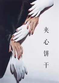 《夹心饼干(3p)》1970版小说全集 张三完本作品