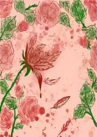 夜莺1970全章节阅读 夜莺小说免费阅读
