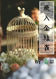 飞入金丝雀作者:青瑟 全本免费阅读