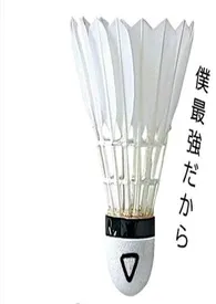 《穿越咒术回战》1970最新章节 穿越咒术回战免费阅读