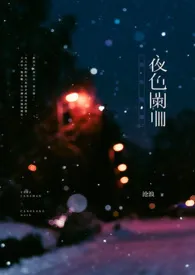 《夜色阑珊》小说在线阅读 沧浪作品