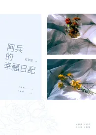 阿兵的幸福日记1970全章节阅读 阿兵的幸福日记小说免费阅读