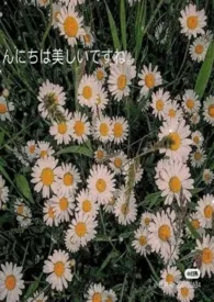 【GB】维利吉斯1970全章节阅读 【GB】维利吉斯小说免费阅读