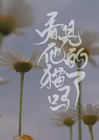 《看见他的猫了吗(表兄妹1v1)》1970版小说全集 郑点小钱完本作品