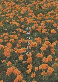 轻轻的你走来1970全章节阅读 轻轻的你走来小说免费阅读