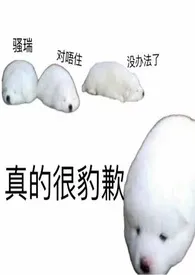 雪山abo作者:pCre 全本免费阅读