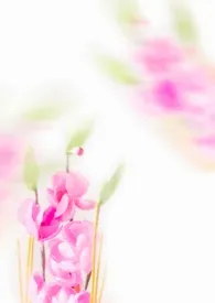 桃花降(1v1 h)小说完结版免费阅读(作者:鱼梦梦yu)