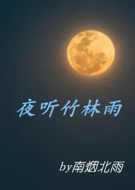 夜听竹林雨作者:南烟北雨 全本免费阅读