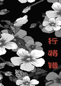 《行将错》1970版小说全集 念客巡完本作品