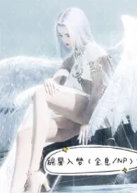 碎星入梦(全息/NP)作者:Alice 全本免费阅读