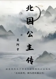 旻阿宁著作《北国公主传(骨科,1V1,双洁双处,妖族)》小说全文阅读