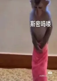 《【海贼原女】泡芙小姐的集邮日记》1970最新章节 【海贼原女】泡芙小姐的集邮日记免费阅读