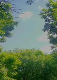 先入为主作者:陆二柒 全本免费阅读