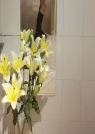 玖拾最新章节目录 玖拾全本在线阅读