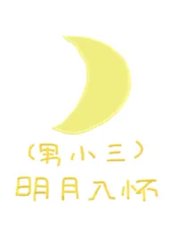 1970全新版本《(男小三)明月入怀》 岚阚作品完结免费阅读