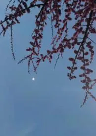 玫瑰山1970全章节阅读 玫瑰山小说免费阅读