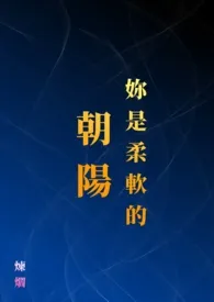 《妳是柔软的朝阳》1v1(繁体版)小说完结版免费阅读(作者:炼爓)