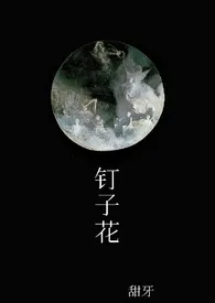 钉子花1970全章节阅读 钉子花小说免费阅读