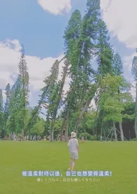 慕有枝1970全章节阅读 慕有枝小说免费阅读