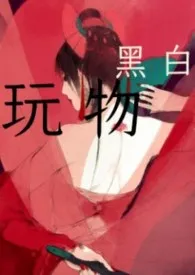 黑白著作《玩物(NP H )》小说全文阅读