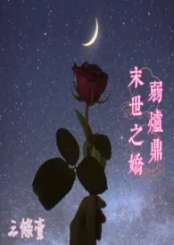 末世之娇弱炉鼎(h)小说完结版免费阅读(作者:三条壹)