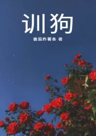 《训狗》1970版小说全集 番茄炸薯条完本作品