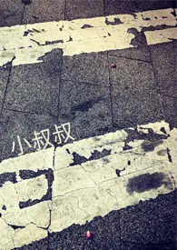《小叔叔(正文完结)》1970版小说全集 Roxi完本作品