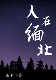 1970全新版本《【NP,拐卖,强制爱高H】人在缅北》 阿君和玉宝作品完结免费阅读