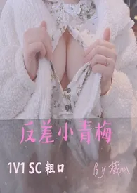 《反差小青梅(1V1SC粗口)》小说大结局 藏心最新力作