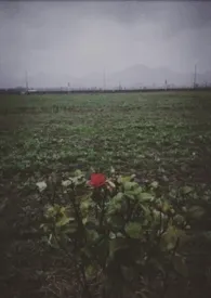 《最后一个冬天》1970最新章节 最后一个冬天免费阅读