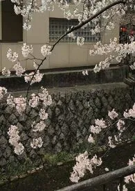 玻璃渣(短篇集)小说完结版免费阅读(作者:乔裕)