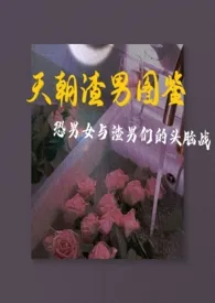 《天朝渣男图鉴》1970版小说全集 梦中情狗苏秉辰完本作品