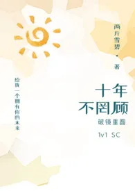 十年不罔顾(破镜重圆)作者:两斤雪碧 全本免费阅读