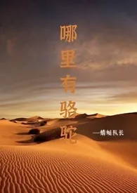《哪里有骆驼》1970版小说全集 蜻蜓队长完本作品