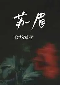 《苏眉》1970版小说全集 伫候佳音完本作品