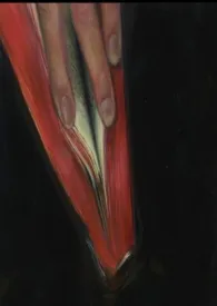 灵感垃圾箱(短篇集)1970全章节阅读 灵感垃圾箱(短篇集)小说免费阅读