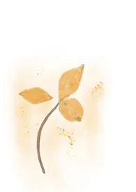 盐树枝作者:江渚之上 全本免费阅读