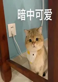 《光鲜(公媳/孕交)》小说大结局 疯野最新力作