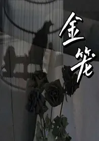金笼np1970全章节阅读 金笼np小说免费阅读