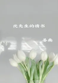 1970全新版本《沈先生的情书》 姜南作品完结免费阅读