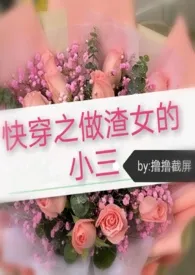 快穿之做渣女的小三小说完结版免费阅读(作者:撸撸截屏)