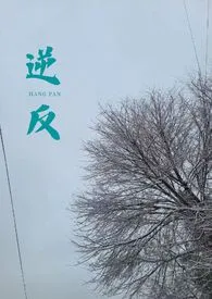 逆反(1v1 强制)小说完结版免费阅读(作者:杭盼)