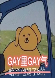 Gay里Gay气-新版1970全章节阅读 Gay里Gay气-新版小说免费阅读