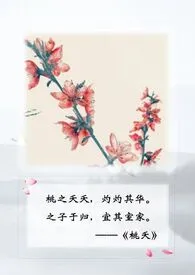 桃夭1970全章节阅读 桃夭小说免费阅读