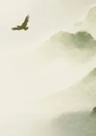 紫檀簪小说完结版免费阅读(作者:阿九浪没了)