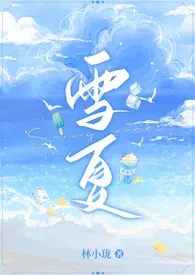 《雪夏》1970版小说全集 林小珑完本作品