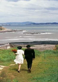 1970全新版本《女神的宠物》 西瓜啵啵作品完结免费阅读